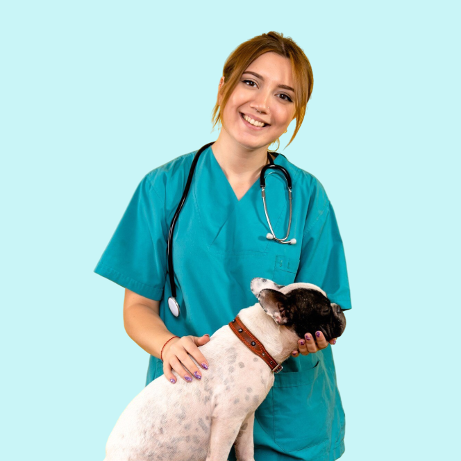 ECM e veterinari: crediti compensativi, premi e responsabilità professionale