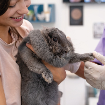 Ortopedia, trauma e chirurgia specialistica nei piccoli animali