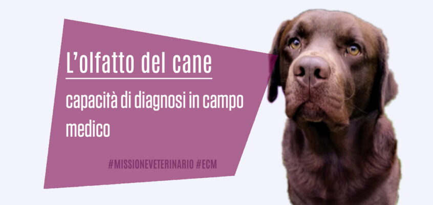 L’olfatto del cane: capacità di diagnosi in campo medico