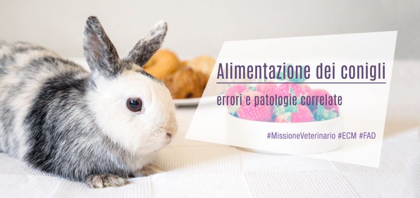 Alimentazione dei conigli: errori e patologie correlate