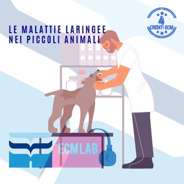 ECM-Lab-Missione Veterinario-Corso-FAD-Le-malattie-laringee-nei-piccoli-animali