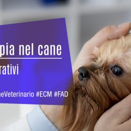 Laringoscopia-nel-cane-protocolli-operativi-MissioneVeterinario-ECM-MedicalEvidence
