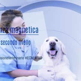 TAC-Risonanza-magnetica-diagnostica-secondo-livello-veterinaria-MissioneVeterinario-ECM-MedicalEvidence