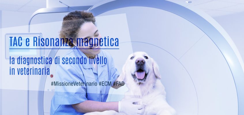 TAC e Risonanza magnetica: la diagnostica di secondo livello in veterinaria