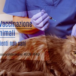 Veterinari-Vaccinazione-nei-piccoli-animali-come-gestire-pazienti-non-sani-MissioneVeterinario-ECM-MedicalEvidence