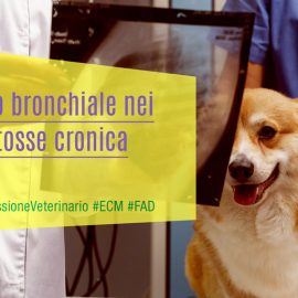 Collasso-bronchiale-nei-cani-con-tosse-cronica-MissioneVeterinario-ECM-MedicalEvidence