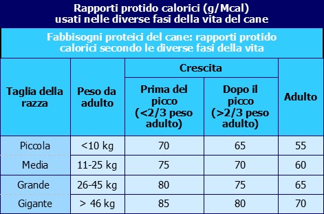 fabbisogni proteici-cane-ECM-Missione Veterinario-Medical Evidence