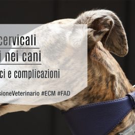 Traumi cervicali e collari nei cani: Segni clinici e complicazioni - ECM FAD - Medical Evidence