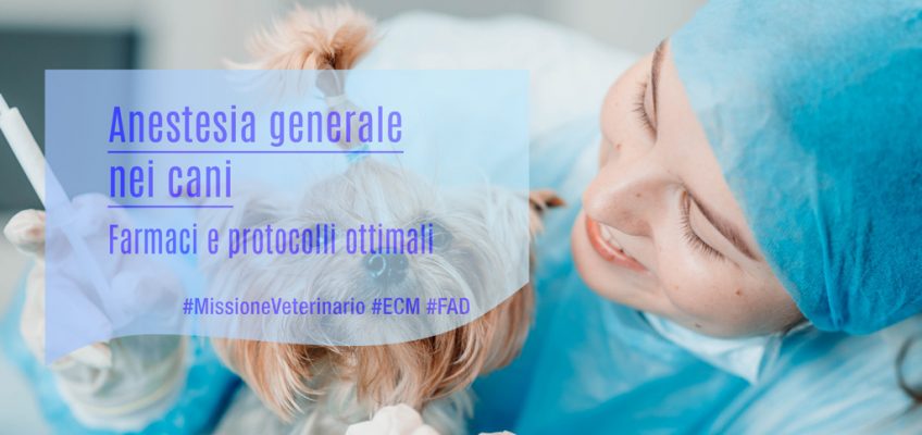 Anestesia generale nei cani: farmaci e protocolli ottimali