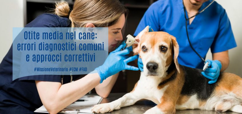 Otite media nel cane: errori diagnostici comuni e approcci correttivi