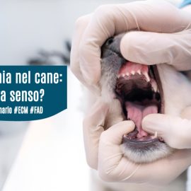 Tonsillectomia-cane-ha-ancora-senso-ecm-missione veterinario